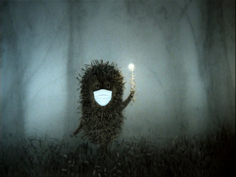Ежик в тумане сайлент Хилл