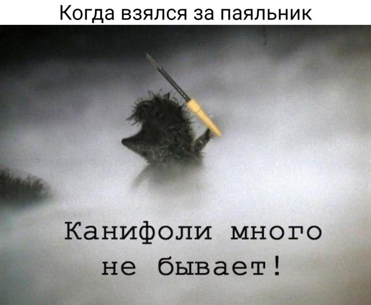 Цитаты из ежика в тумане