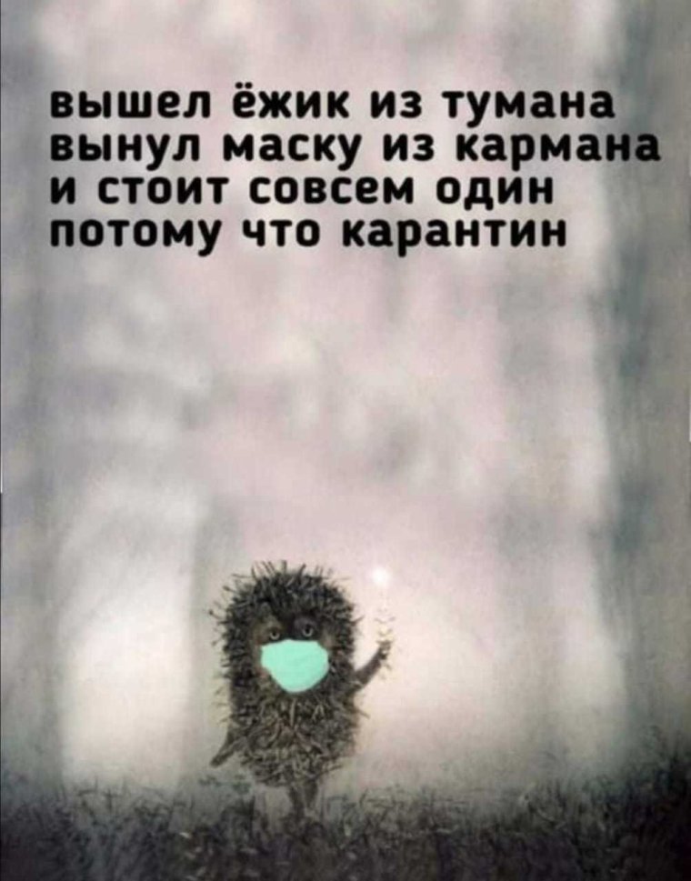 Ежик в тумане цитаты