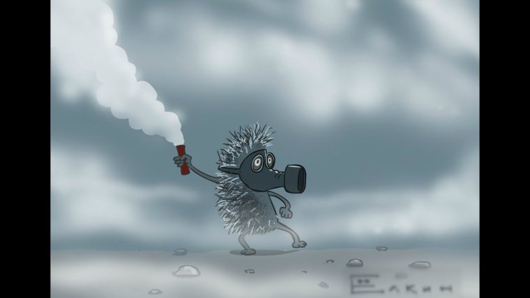 Ёжик в тумане прикольные