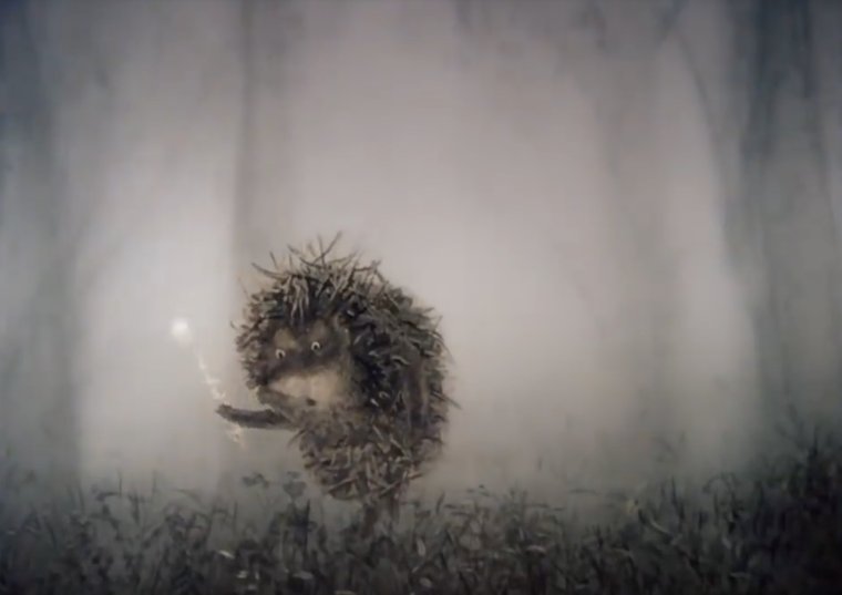 Ёжик в тумане прикол