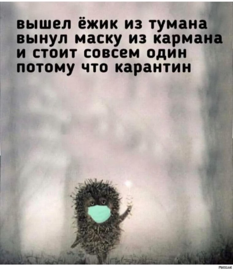 Ежик в тумане цитаты