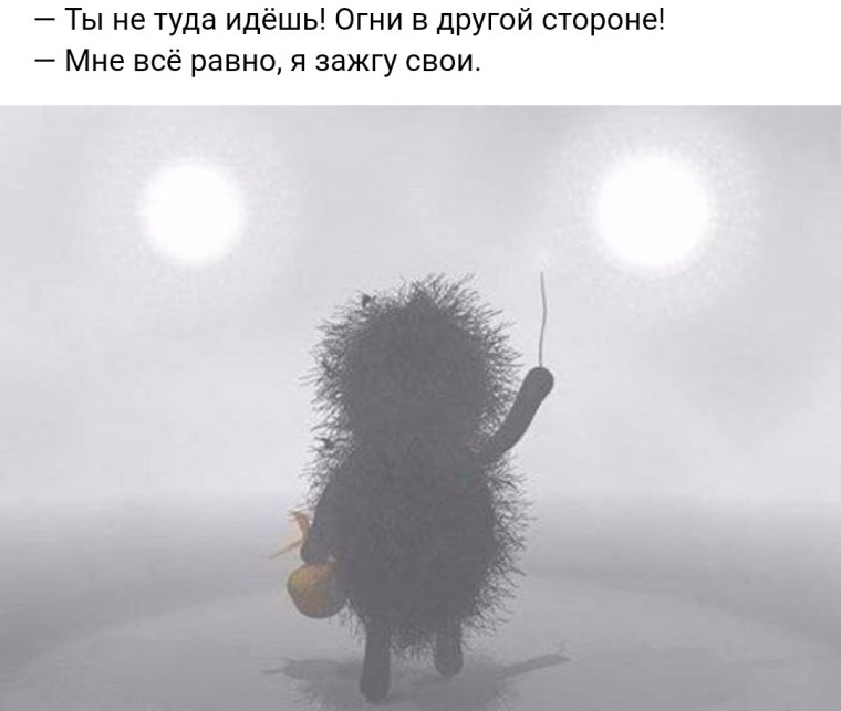 Ёжик в тумане мемы