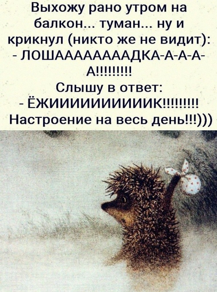 Утро понедельника