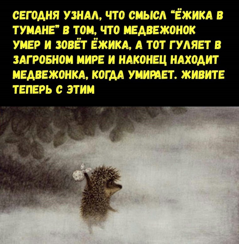 Ежик в тумане юмор