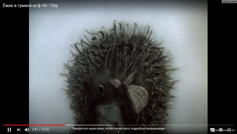 Ёжик и Медвежонок цитаты