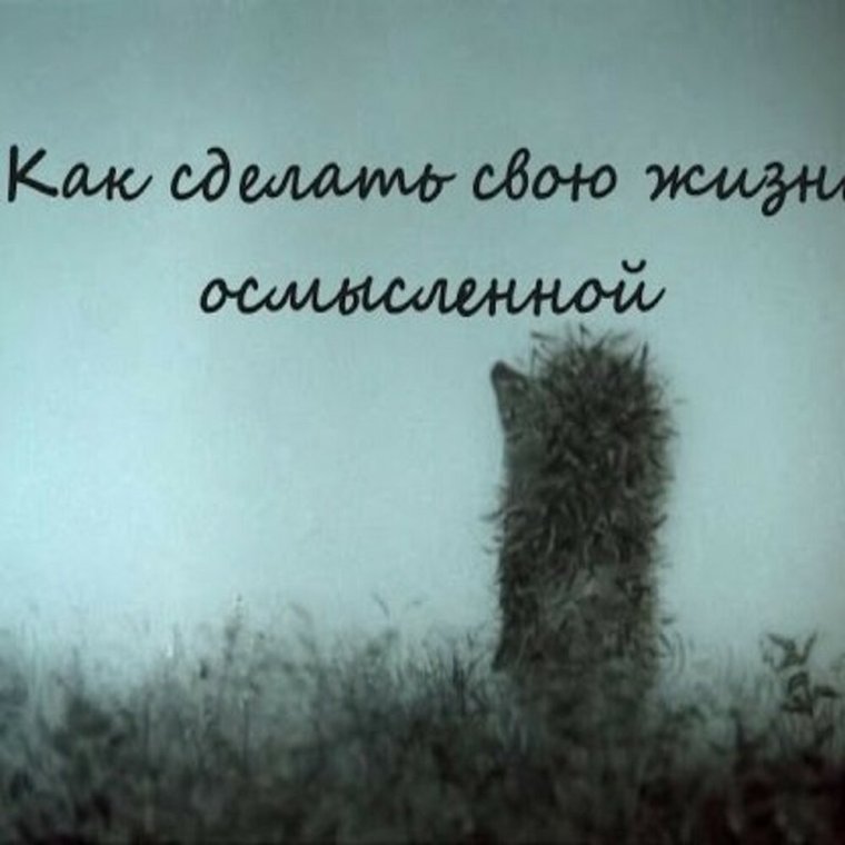 Цитаты из ежика в тумане