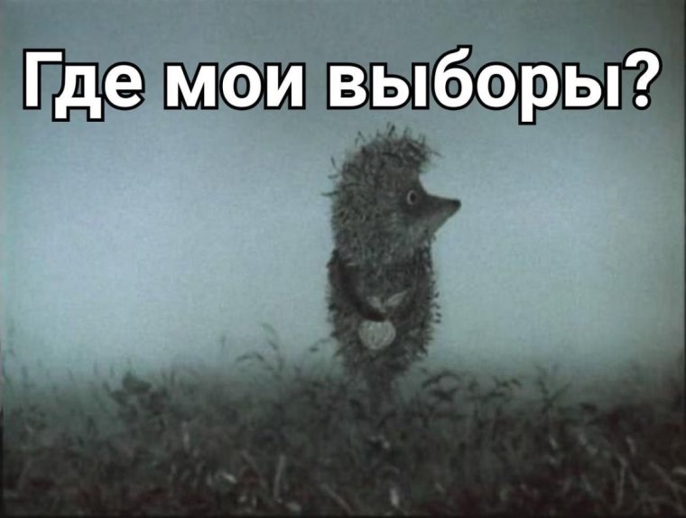 Лошадка Ежик в тумане