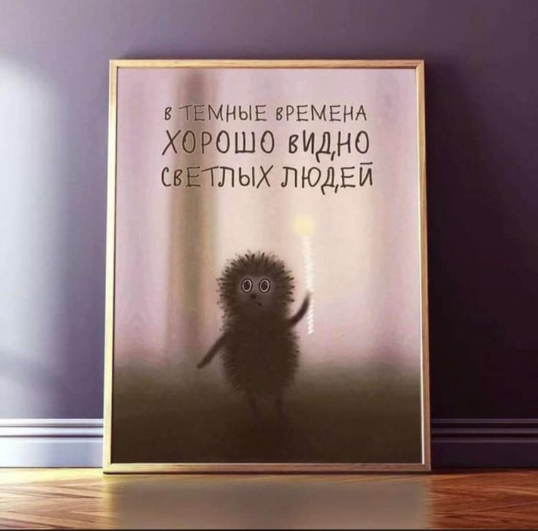 Ежик в тумане