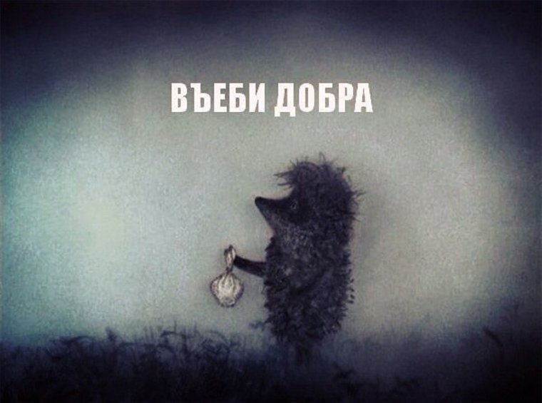 Ежик в тумане цитаты