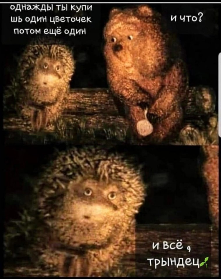 Ежик в тумане фразы