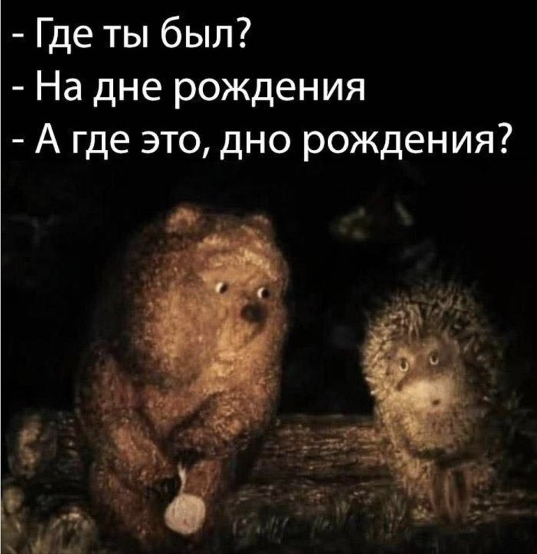 Кот в тумане