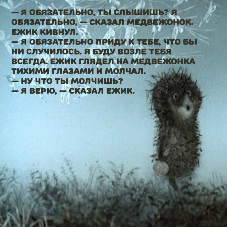 Канифоли много не бывает Ёжик в тумане