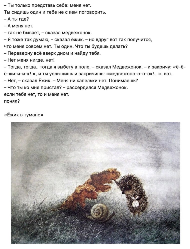 Ежик в тумане обложка книги