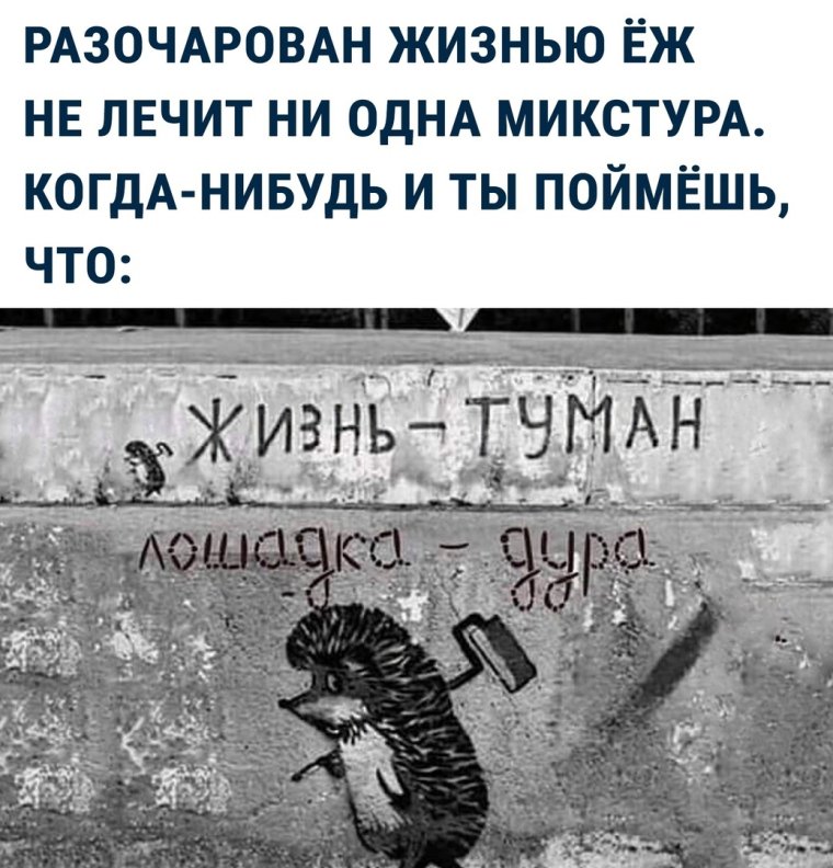 Ежик с узелком