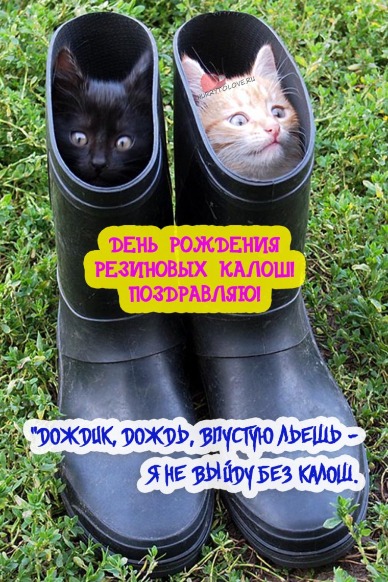 День резиновых калош