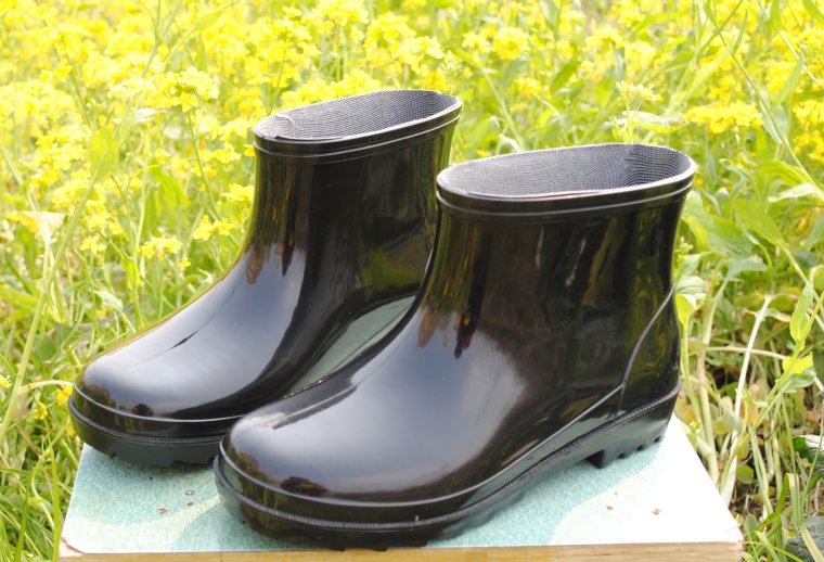 Кот в сапогах