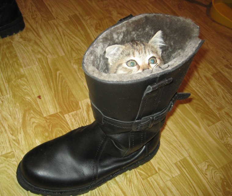 Галоши старые