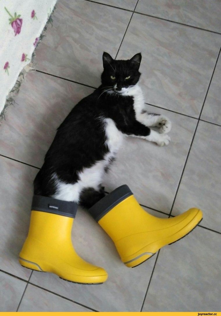 Советские резиновые калоши