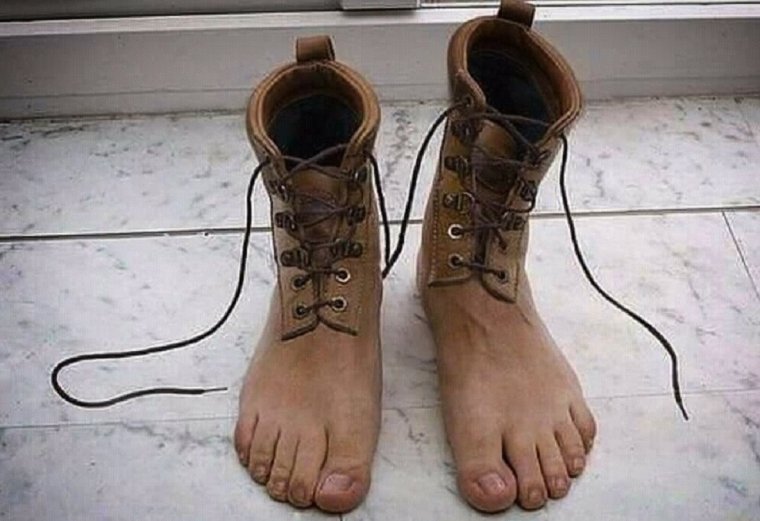 Сапоги для котов