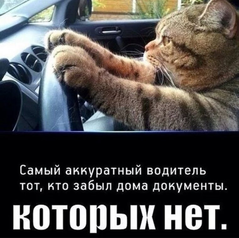 Фразы оперов стиля