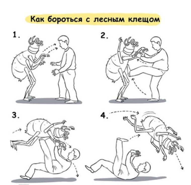 Как защититься от клеща прикол