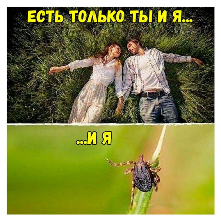 Есть только ты и я и я клещ