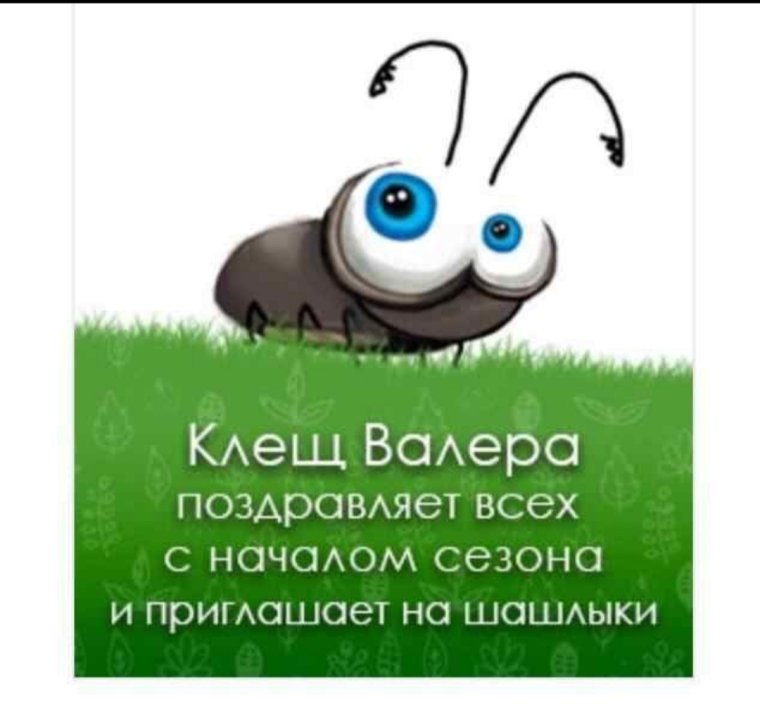 Клещ Валера