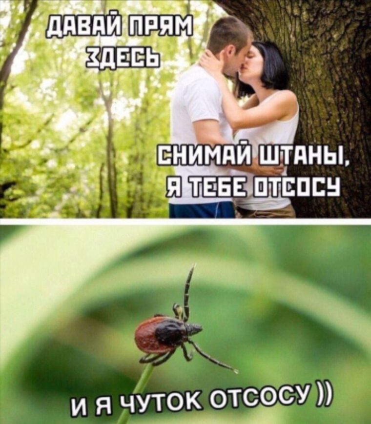 Давай я тебе отсосу