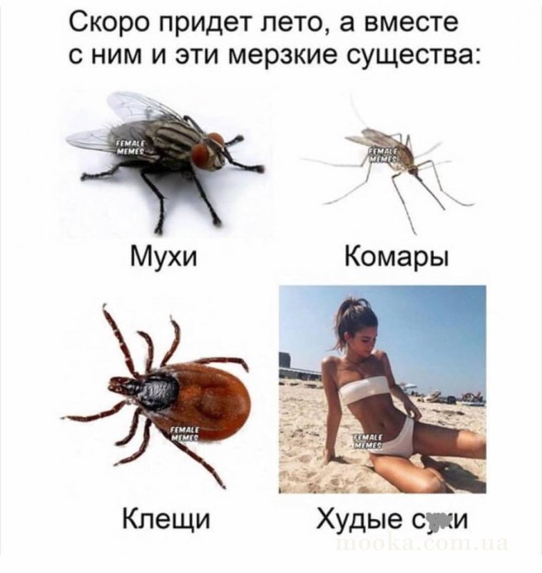 Скоро придет лето а вместе с ним и