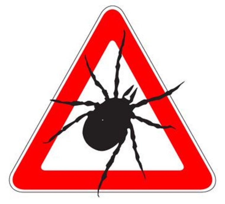 Осторожно клещи знак