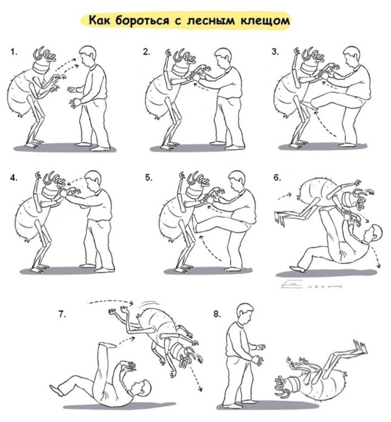 Борьба с клещом