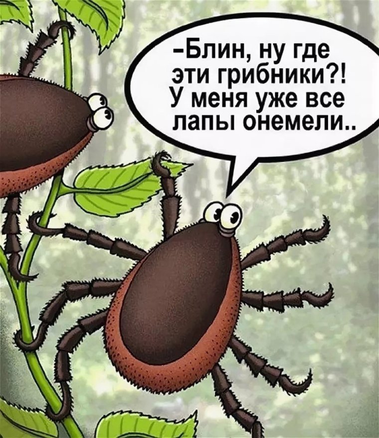 Шутки про клещей