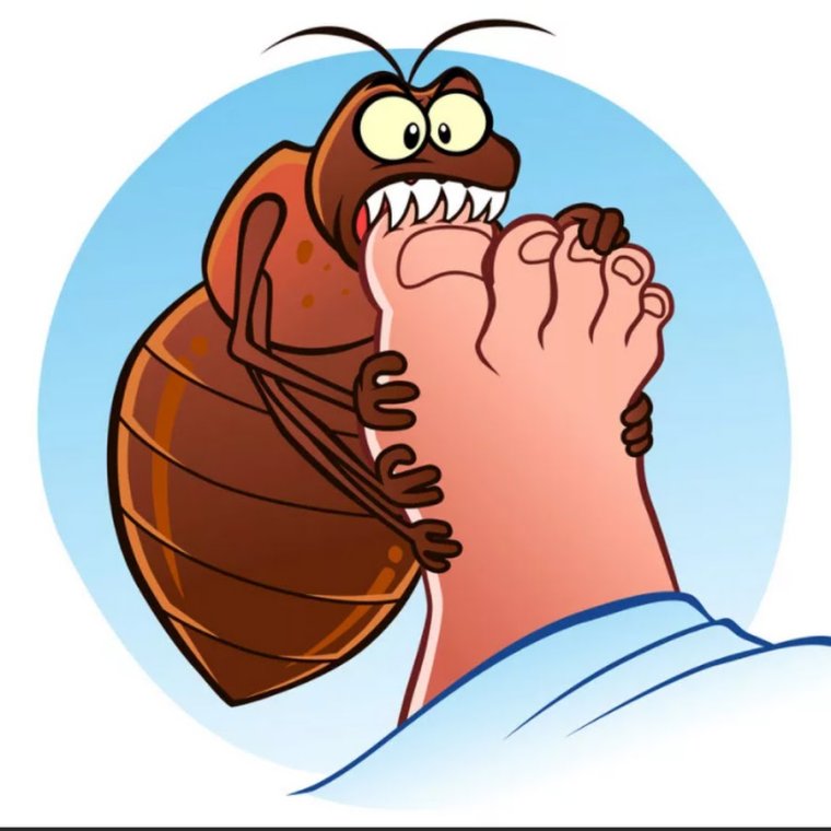 Веселый клоп