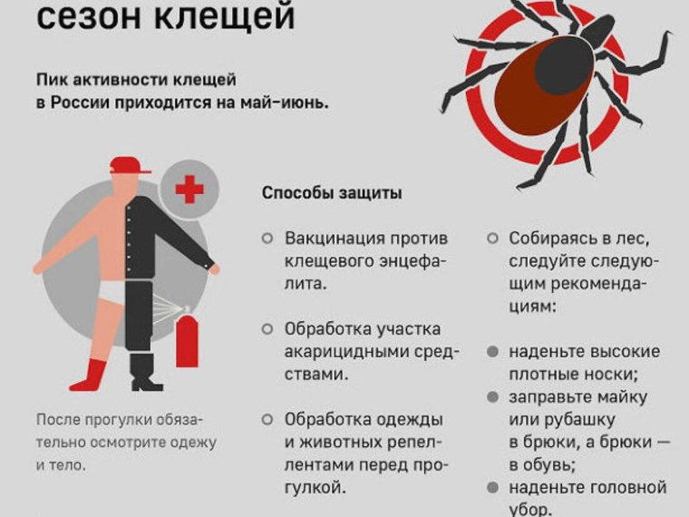 Чтотделать если укустл клещ