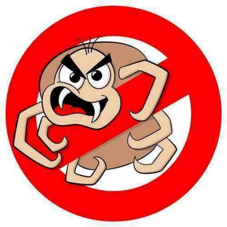 Скоро придет лето а вместе с ним и