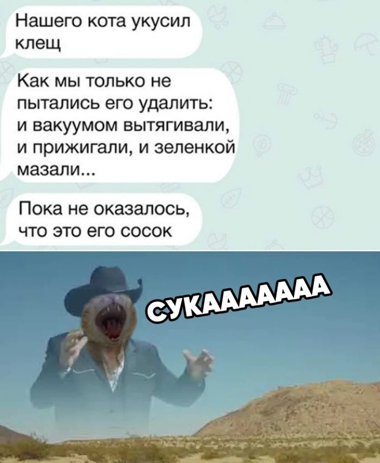 Нашего кота укусил клещ прикол