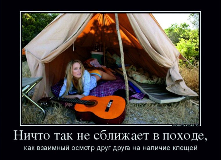 Страхование от клеща