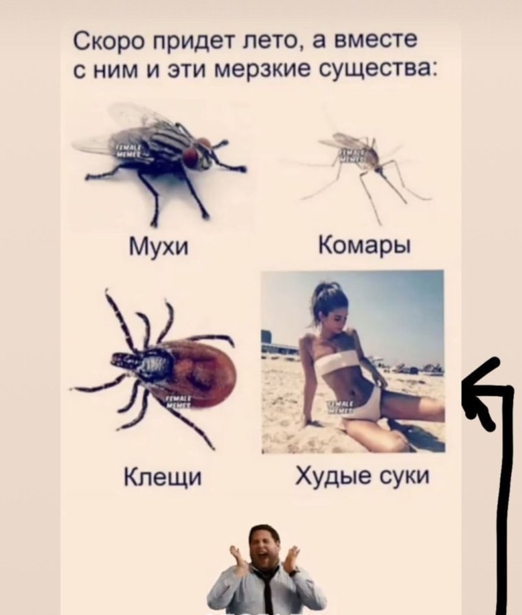 Заяц у тебя говно к шерсти прилипает