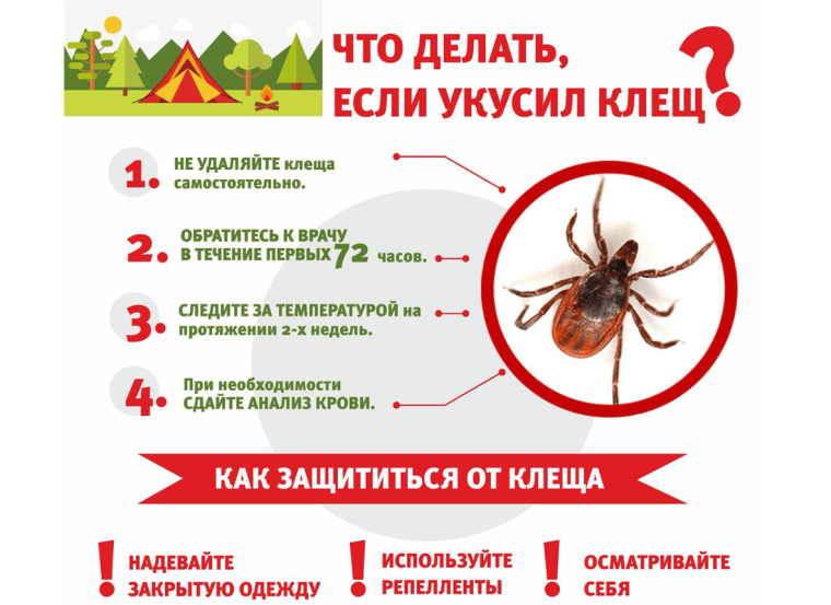 Клещ Валера и Эльвира приглашает