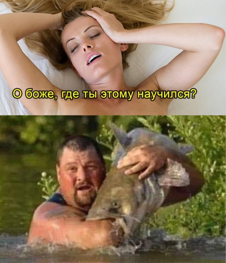 Предупреждение о клещах