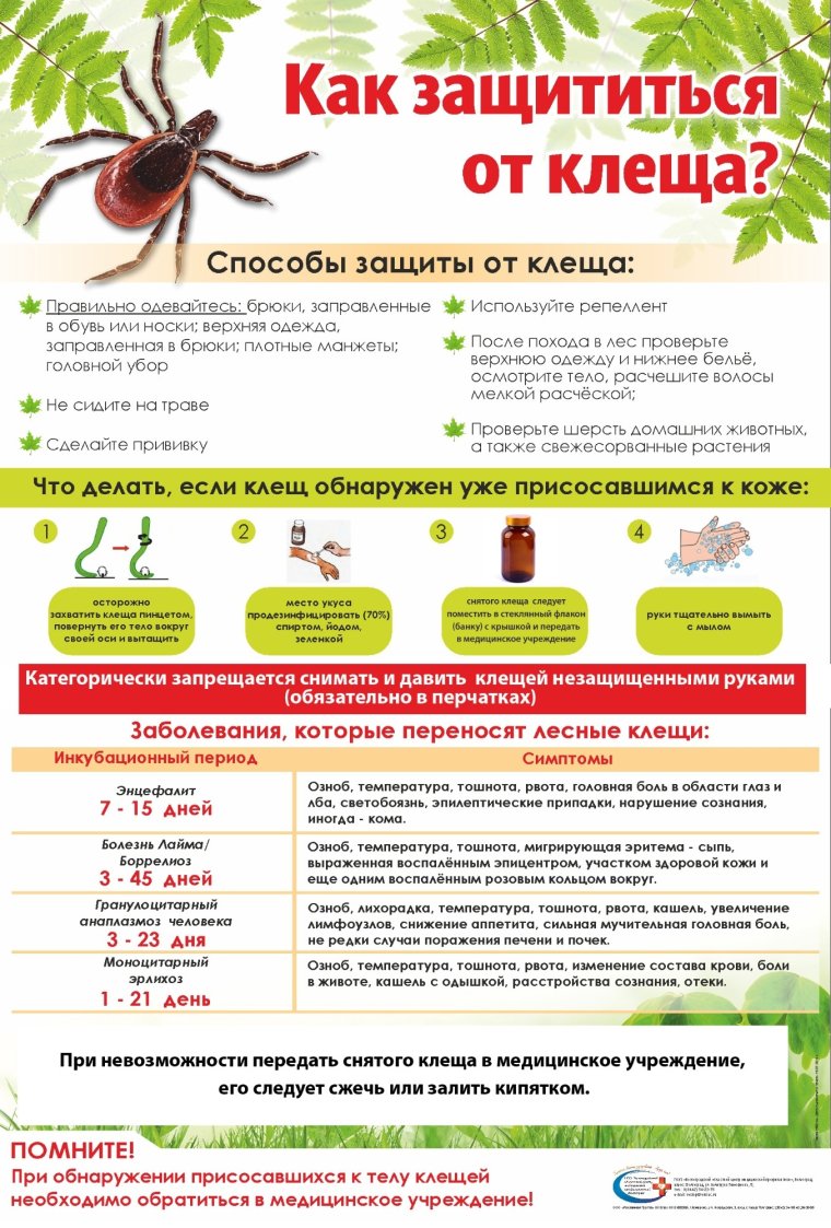 Приколы про постель и клещи