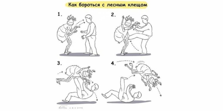 Борьба с лесным клещом