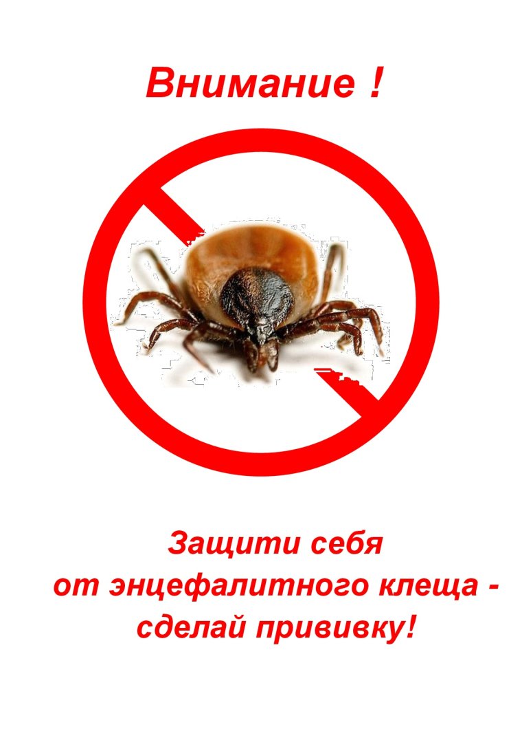 Клещ мультяшка