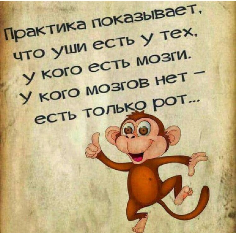 Высказывания поднимающие настроение