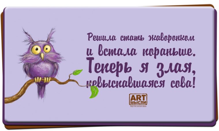 Злая невыспавшаяся Сова