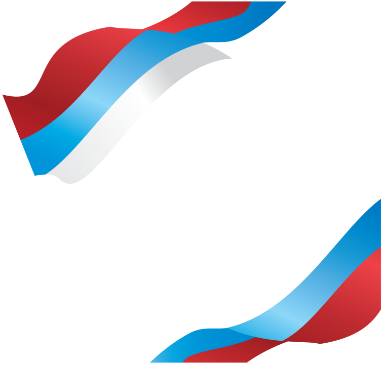 Фон Триколор