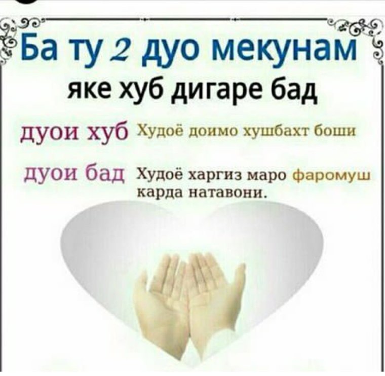 Ослиная морда