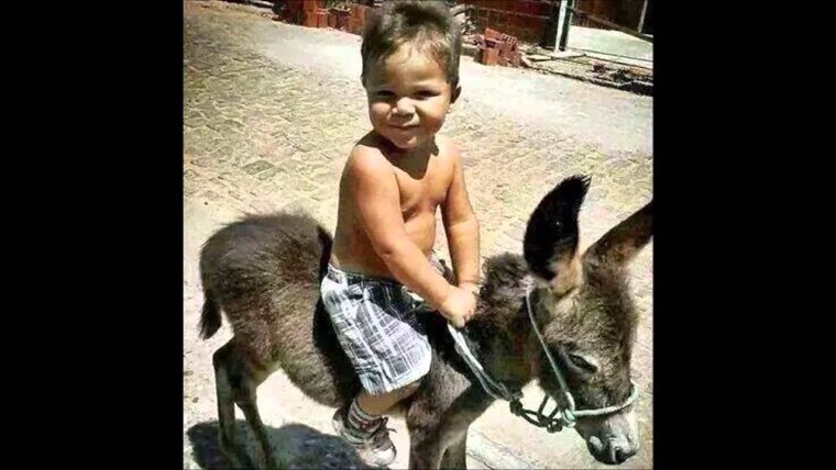 Приколи точики