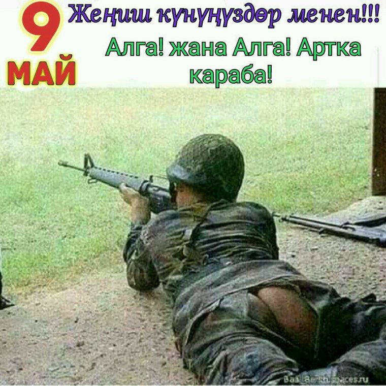 Шутки про чурок и овец